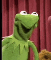 Kermit The Frog Meme