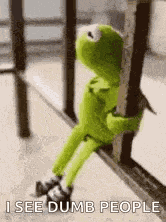 Kermit The Frog Waiting GIF