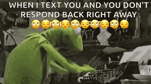 Kermit Typing GIF