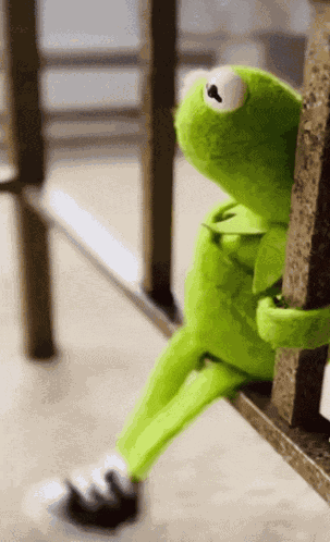Kermit Waiting GIF