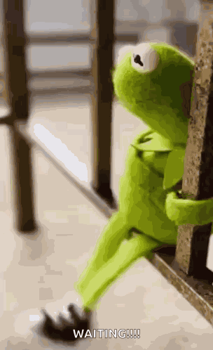 Kermit Waiting GIF