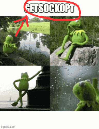 Kermit Waiting Meme