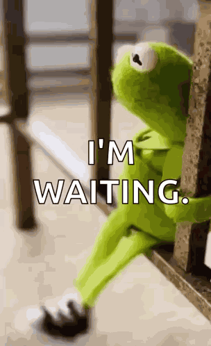 Kermit Waiting GIF