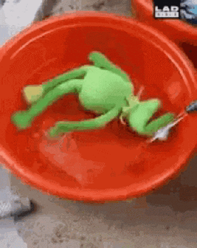 Kermit Water GIF