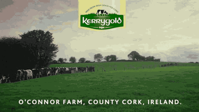 Kerrygold Grass GIF