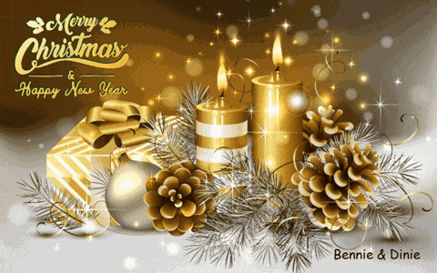 Kerst Dinie GIF