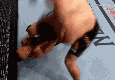 Khabib Mcgregor GIF