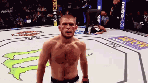 Khabib GIF