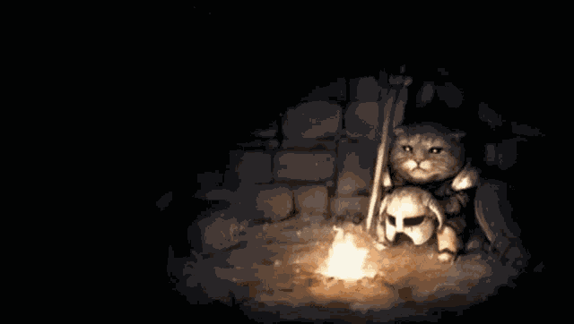 Khajit Cat GIF