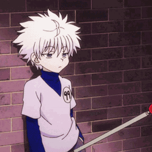 Killua Cat GIF