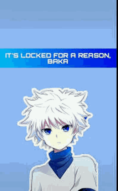 Killua Meme