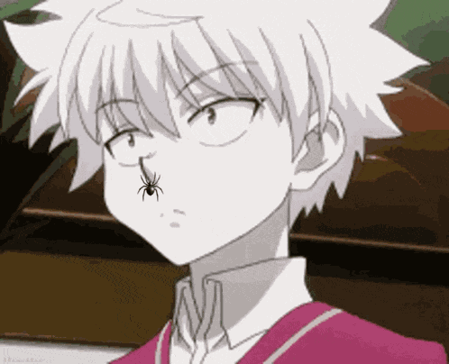 Killua Zoldyck Hxh GIF