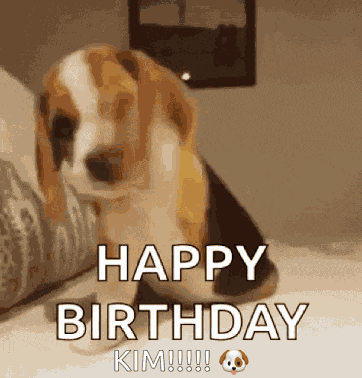 Kim Happy Birthday GIF