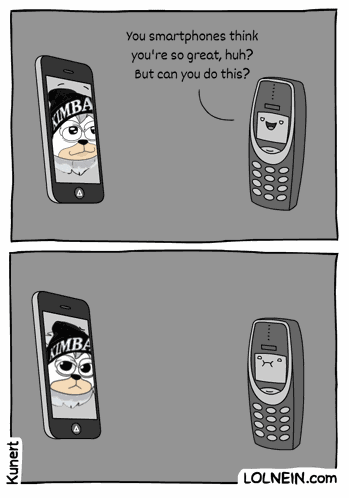 Kimba Crypto GIF