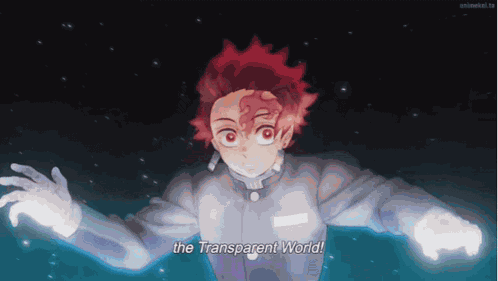 Kimetsu No Yaiba Demon Slayer GIF