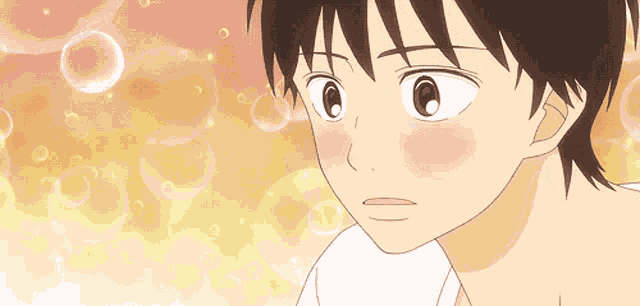 Kimi Ni Todoke Anime GIF