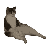 Kirathecat Funny Cat Sticker