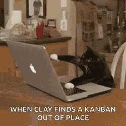 Kitten Cat GIF