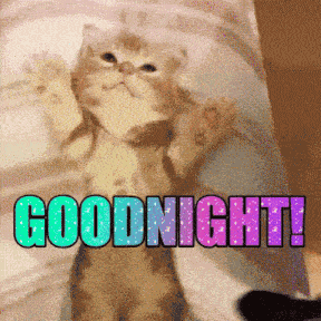 Kitten Goodnight GIF