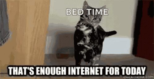 Kitten Mother GIF
