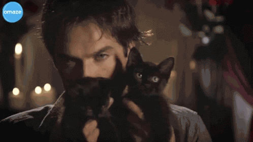 Kittens The Vampire Diaries GIF