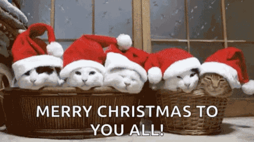 Kitties Christmas Kitties GIF