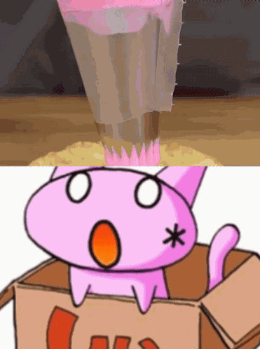 Kitty Kitten GIF