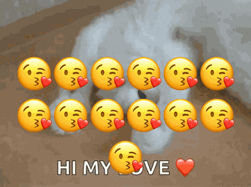 Kitty Kitten GIF