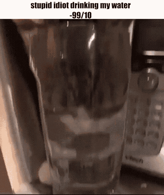 Kitty Review Stupid Idiot GIF