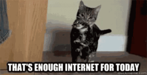 Kitty Supervision GIF