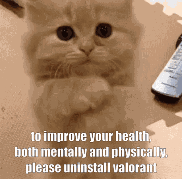 Kitty Uninstall Valorant Pussy Kity GIF