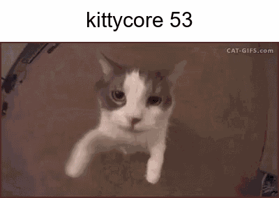 Kittycore Cat GIF