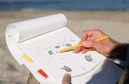 Kittyinu Kitty Inu Beach GIF
