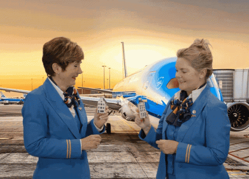 Klm Aviation GIF