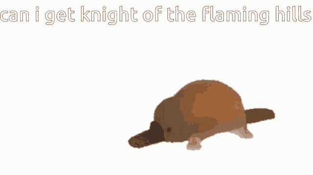 Knight Of The Flaming Hills Knight Of Flame Hills GIF