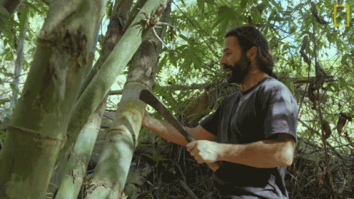 Knock On Wood Knock Knock GIF
