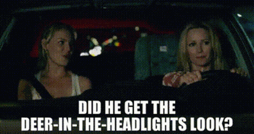 Knocked Up Alison Scott GIF