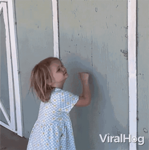 Knocking Viralhog GIF