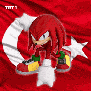 Knuckles Turkey GIF