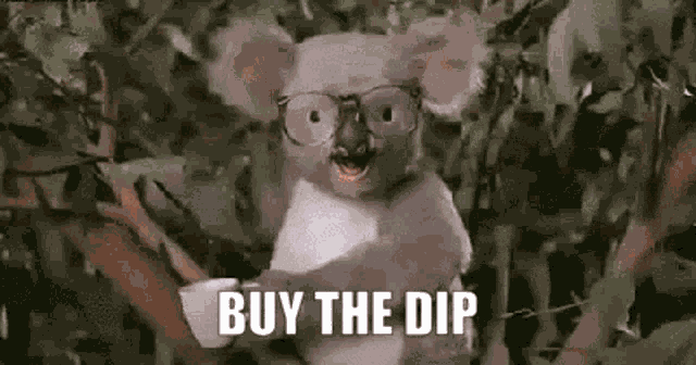 Koala Buy The Dip GIF