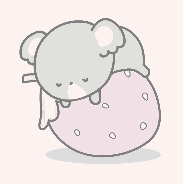 Koala Sleeping GIF