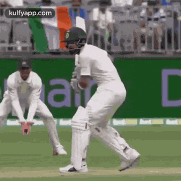 Kohli GIF