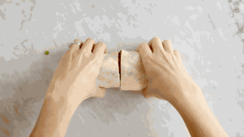 Korean Style Bbq Beef Burrito Burritos GIF