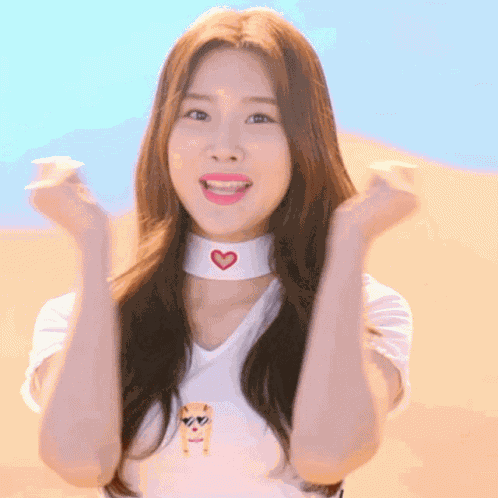 Kpop Favorite GIF