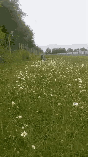 Kratu Summer Time GIF