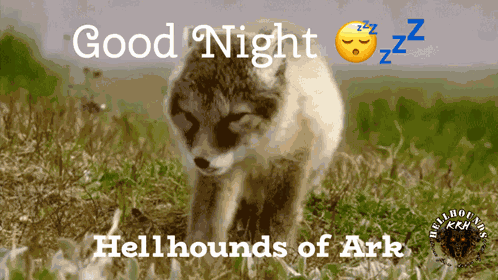 Krh Good Night Krh GIF