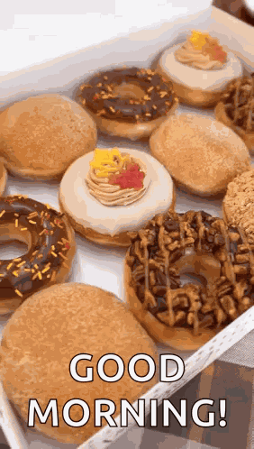 Krispy Kreme Doughnuts GIF