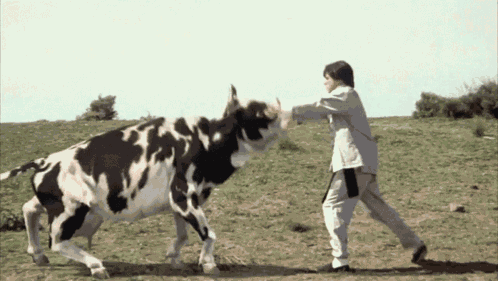 Kung Pow Chosen One GIF