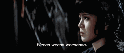 Kung Pow Kung Pow Enter The Fist GIF