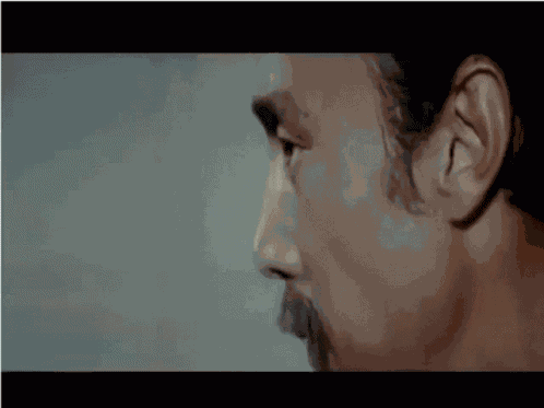 Kung Pow No GIF